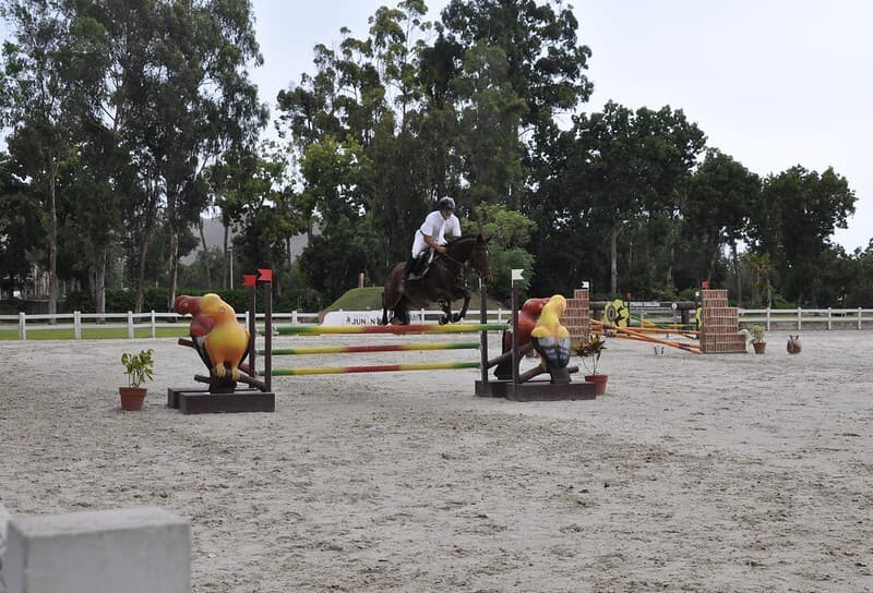 Imagen de Escuela De Equitacion Del Ejercito